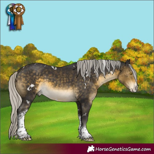 Horse Color:White Spotted Silver Buckskin Mushroom Splash Tobiano 