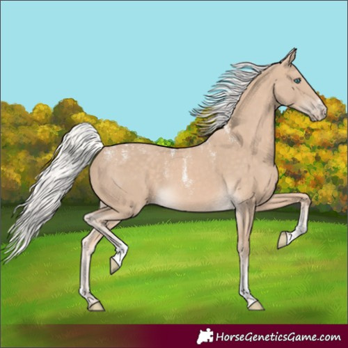 Horse Color:Powder White Silver Perlino