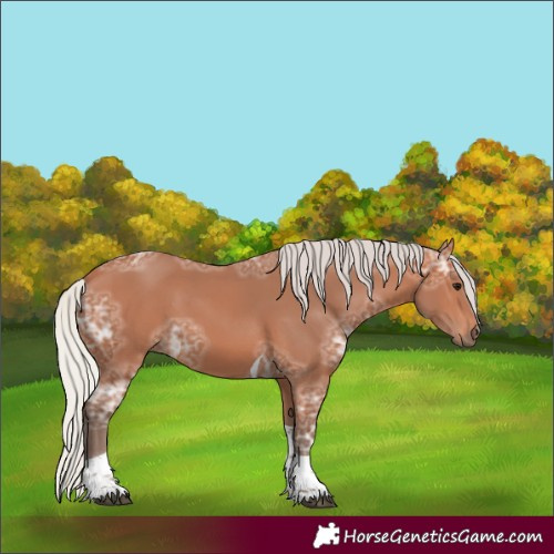 Horse Color:Silver Bay Ice Tobiano