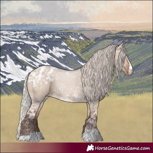 Horse Color:Silver Bay Ice Dun Blanket