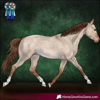 Horse Color:Red Dun Roan