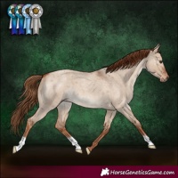 Horse Color:Red Dun Roan