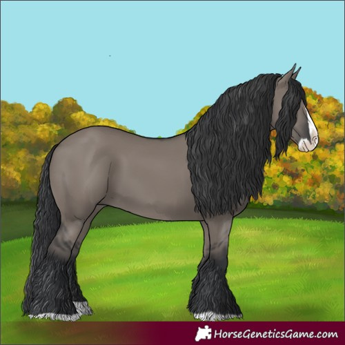 Horse Color:Grullo Splash