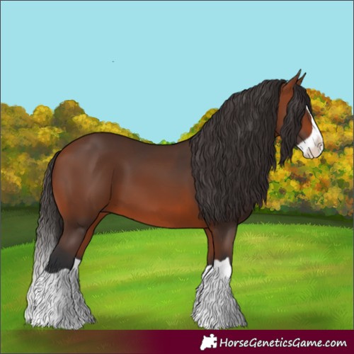 Horse Color:Bay Splash