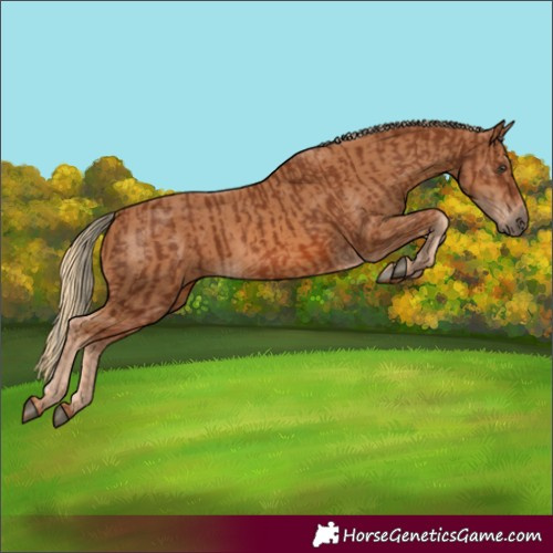 Horse Color:Chestnut and Chestnut