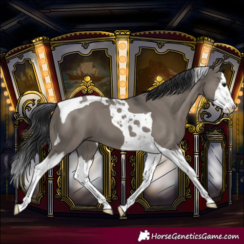 Horse Color:Grullo Splash Tobiano 