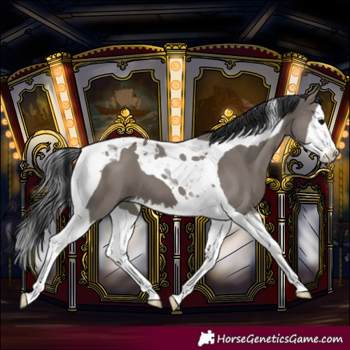 Horse Color:Grullo Splash Tobiano