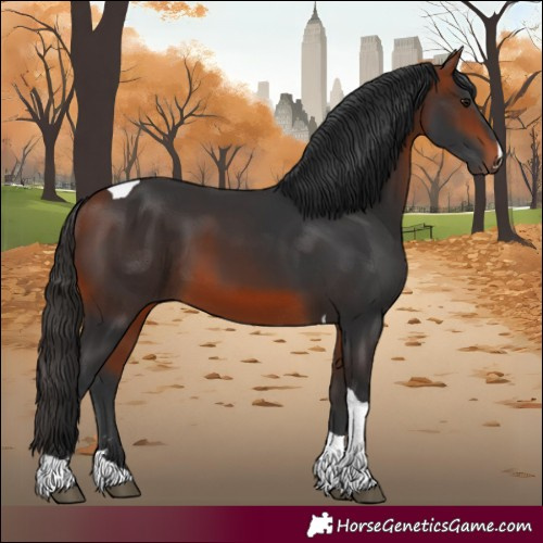Horse Color:Bay Tobiano