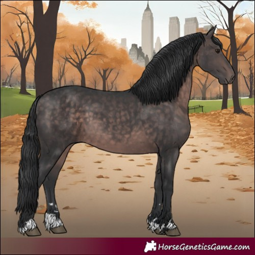 Horse Color:Platinum Brown