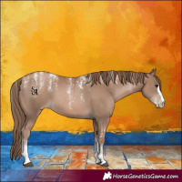 Horse Color:Powder White Black Pearl 