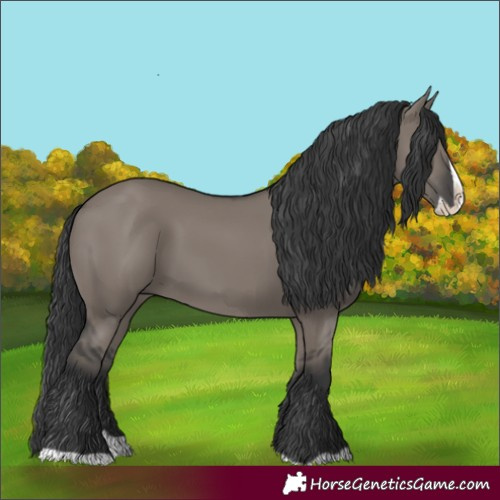 Horse Color:Grullo Splash 