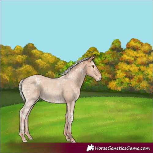 Horse Color:Silver Classic Champagne Ice