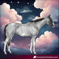 Horse Color:Blue Roan Tobiano Frame 