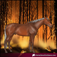 Horse Color:Silver Bay 