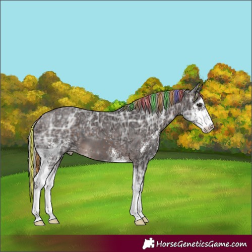 Horse Color:Painted Silver Brown Ice Sabino
