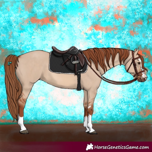 Horse Color:Red Dun