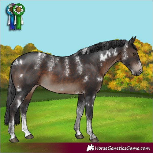 Horse Color:Powder White White Spotted Brown Rabicano