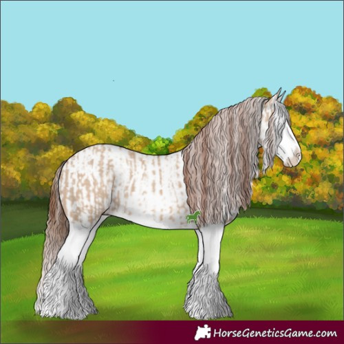 Horse Color:Red Dun Splash  and Red Dun Splash 