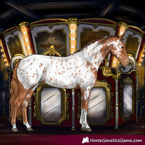 Horse Color:Chestnut Tobiano Near Leopard 