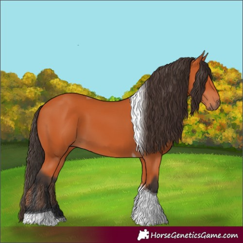 Horse Color:Bay Tobiano
