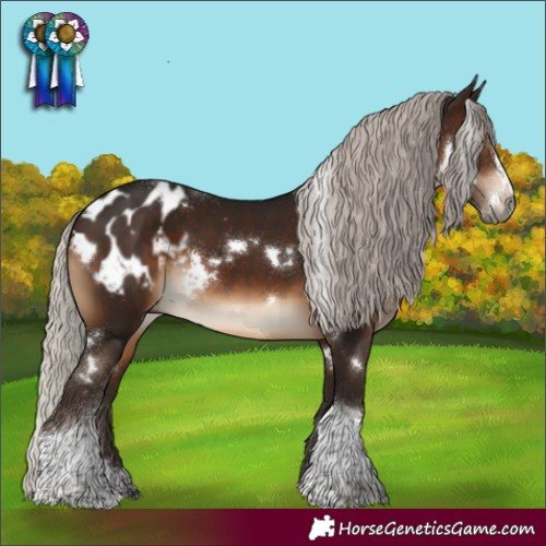 Horse Color:Gray White Spotted Silver Bay Mushroom Splash Tobiano Appaloosa 