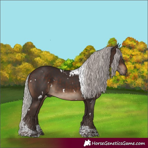 Horse Color:White Spotted Silver Brown Tobiano Rabicano 