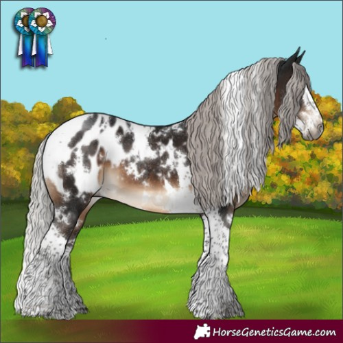 Horse Color:Gray White Spotted Silver Brown Mushroom Splash Tobiano Appaloosa
