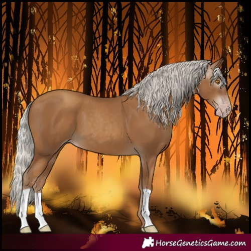 Horse Color:Gray Silver Classic Champagne
