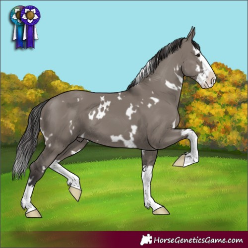 Horse Color:White Spotted Smoky Grullo Splash 