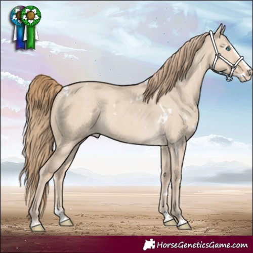Horse Color:White Spotted Smoky Creme Dun Splash