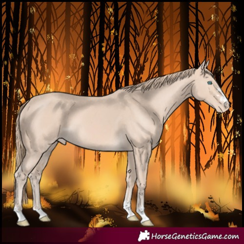Horse Color:Perlino Varnish