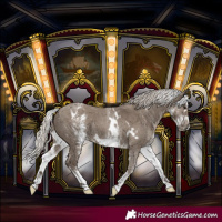 Horse Color:White Spotted Silver Grullo Splash Frame Rabicano