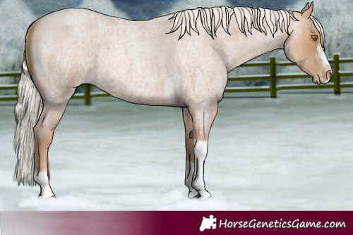 Horse Color:Silver Blue Roan Pearl Tobiano Frame