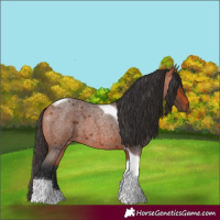 Horse Color:Bay Roan Tobiano 