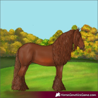Horse Color:Chestnut Rabicano 