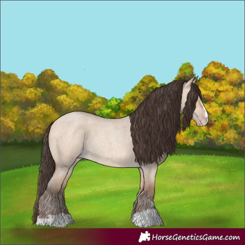 Horse Color:Amber Champagne Roan Dun 