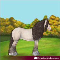 Horse Color:Amber Champagne Roan Dun 