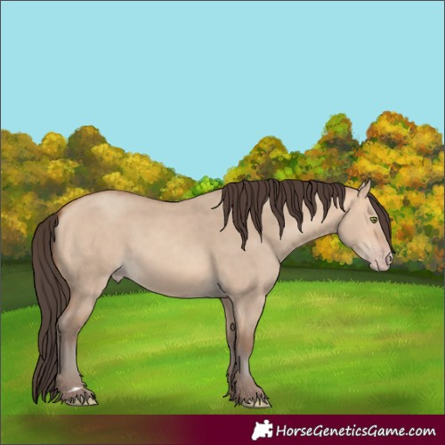Horse Color:Amber Champagne Dun 