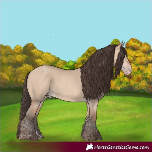 Horse Color:Amber Champagne Dun 