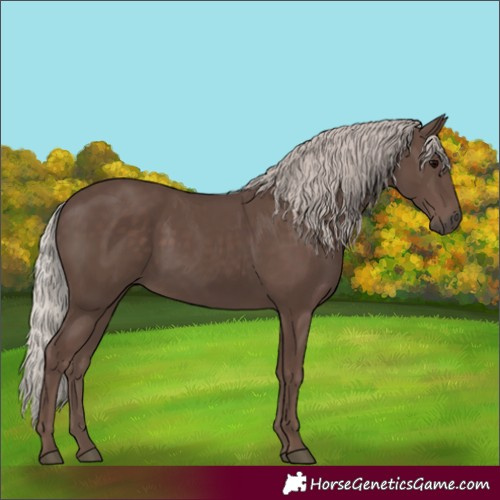 Horse Color:Silver Black