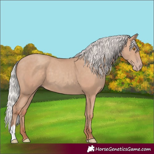 Horse Color:Silver Classic Champagne 
