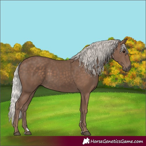 Horse Color:Silver Black 