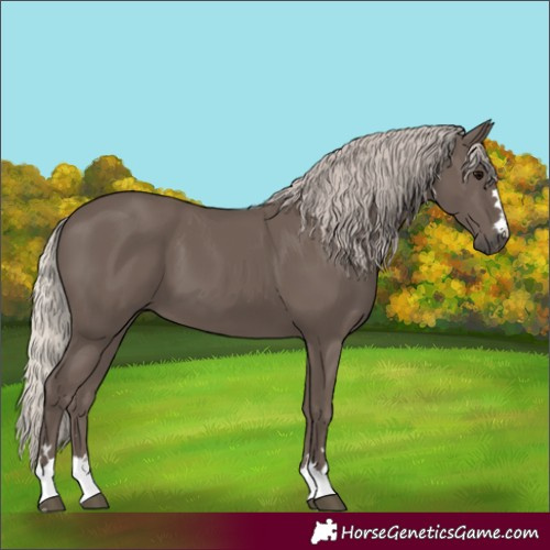 Horse Color:Silver Black 
