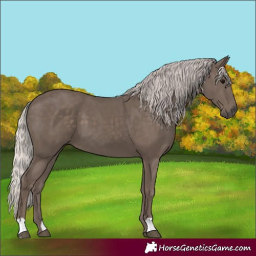 Horse Color:Silver Black 