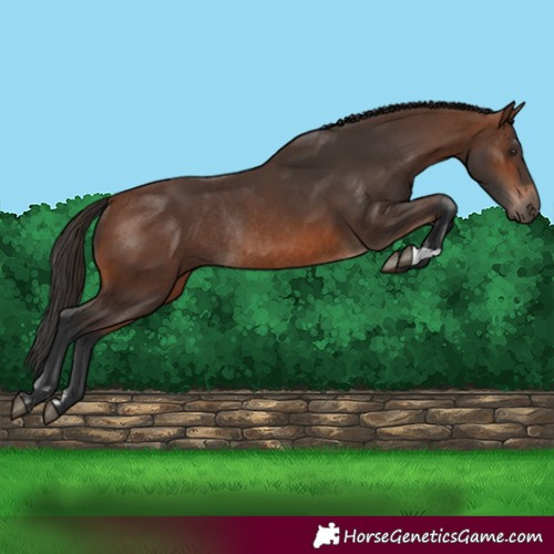 Horse Color:Brown Rabicano and Brown Rabicano