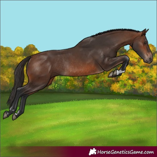 Horse Color:Brown Rabicano  and Brown Rabicano 