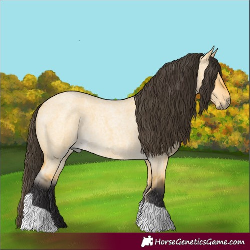 Horse Color:Buckskin Roan Dun Tobiano 