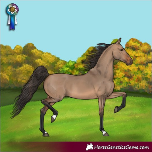 Horse Color:Unknown 