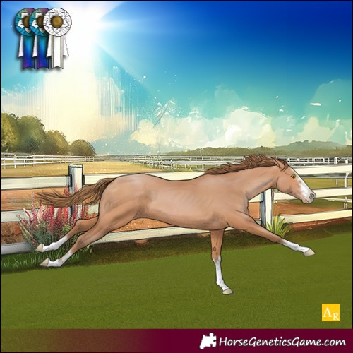 Horse Color:Bay Pearl