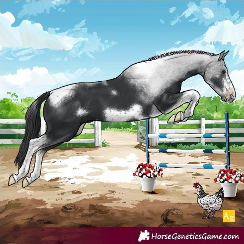 Horse Color:Black Tobiano Frame